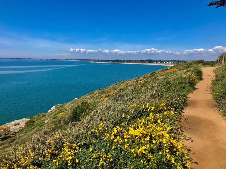 Cote Golfe - Golfe Du Morbihan Sarzeau Eksteriør bilde